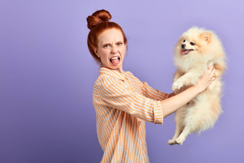 a red-haired woman sticks her tongue out while holding a pomeranian away from her
