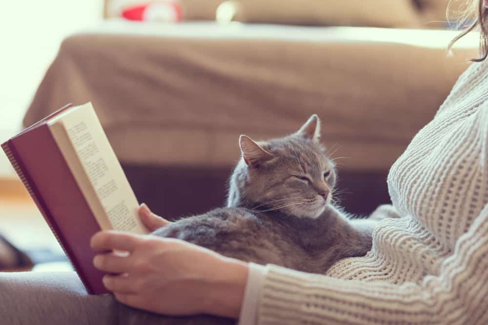 cat cuddling with owner