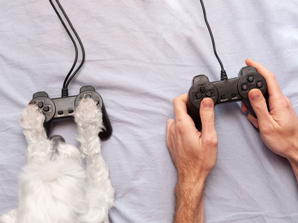 man playing video games with dog