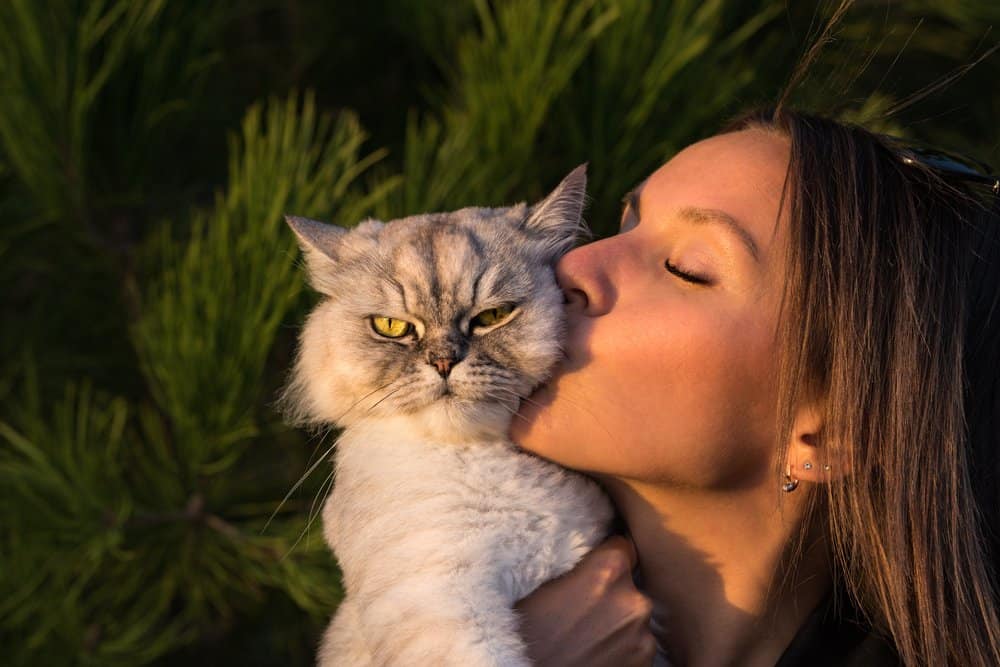 How To Show Your Cat You Love Them PetMag