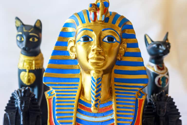 150+ Egyptian Cat Names PetMag