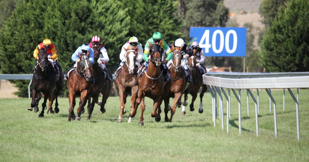 Horses racing on track