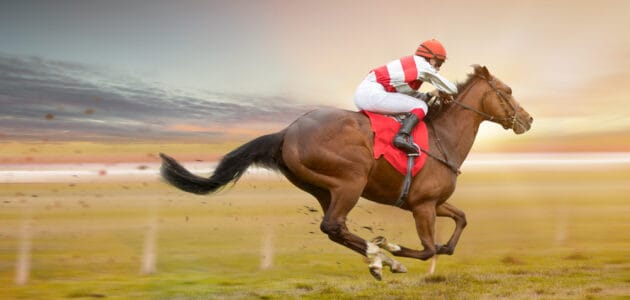 160+ Racehorse Names for Your Dashing Steed