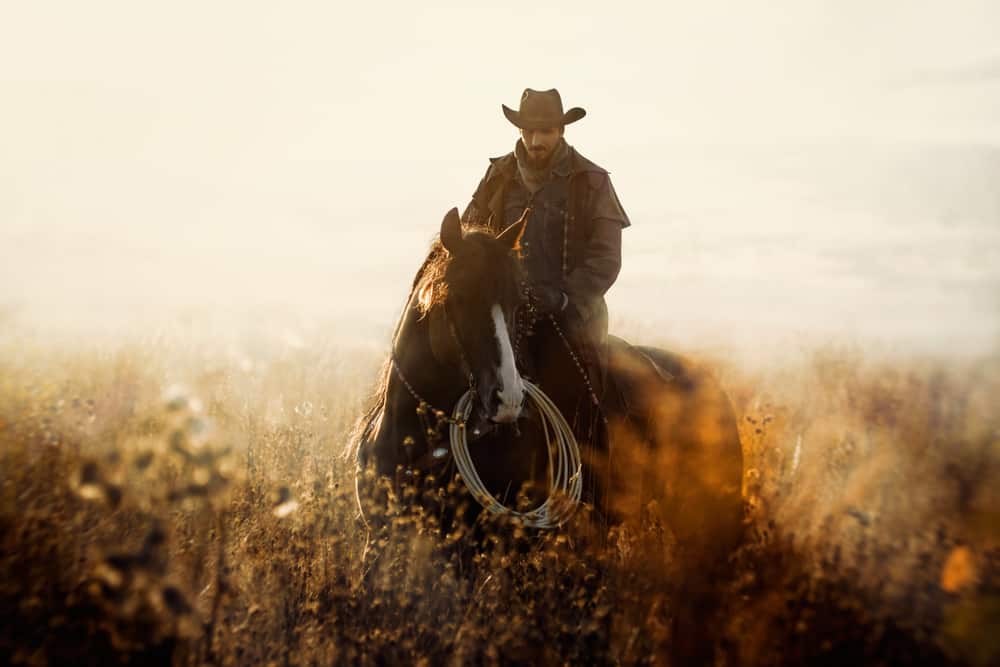 cowboy riding horse