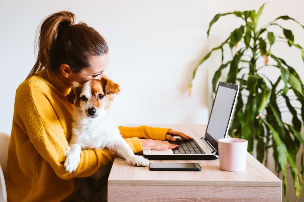 woman holds dog and works on laptop