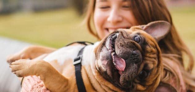 100 Fantastic Dog Names That Start With F